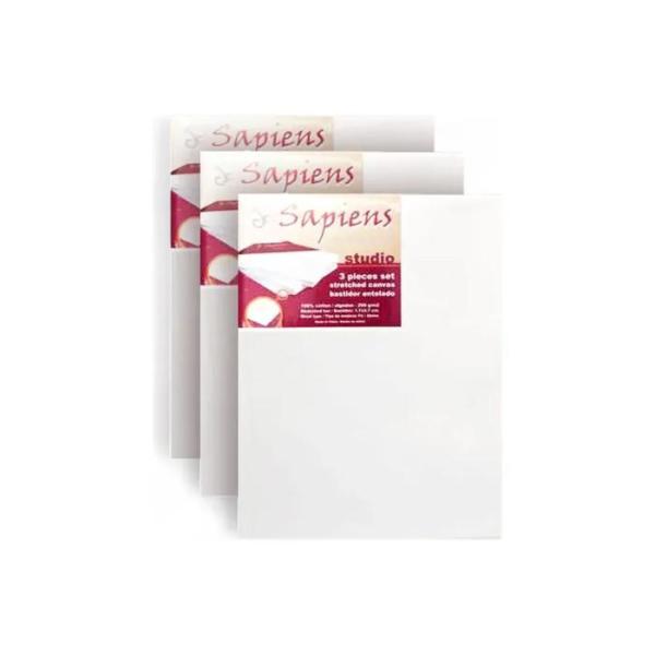 Bastidor De Tela 10 X 18 Cm Sapiens Pack X 3 Arte