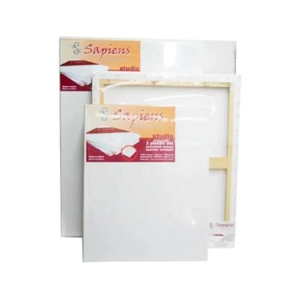 Bastidor De Tela 50 X 60 Cm Sapiens Pack X 3 Arte